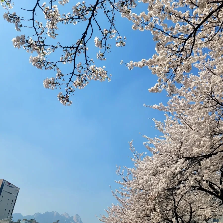 900%EF%BC%BF20260402%EF%BC%BF133146.jpg?type=w1