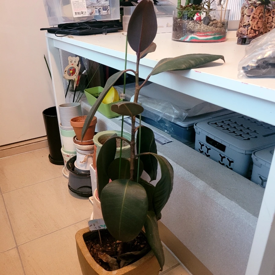 900%EF%BC%BF20260309%EF%BC%BF231145.jpg?type=w1