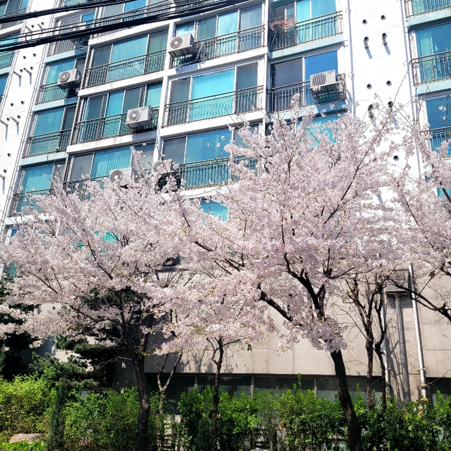 900%EF%BC%BF20260402%EF%BC%BF131653.jpg?type=w1