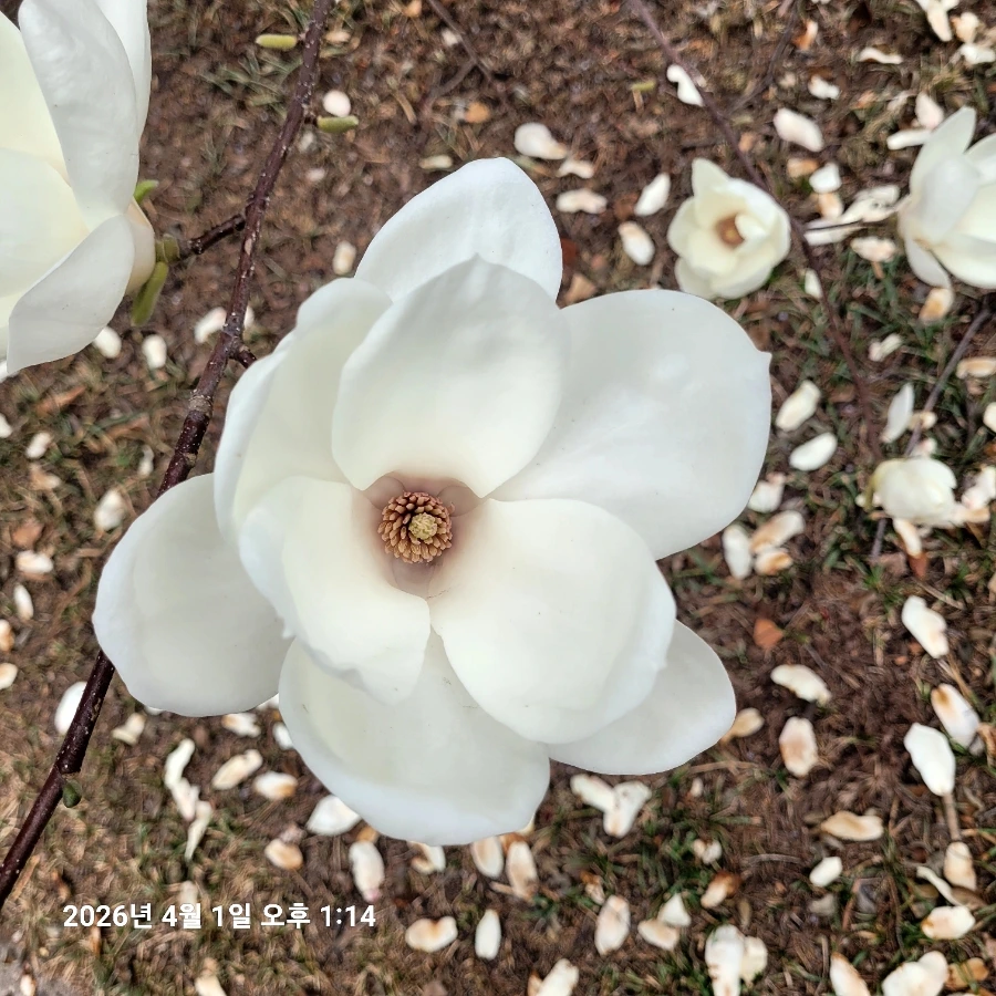 900%EF%BC%BF20260401%EF%BC%BF131455.jpg?type=w1