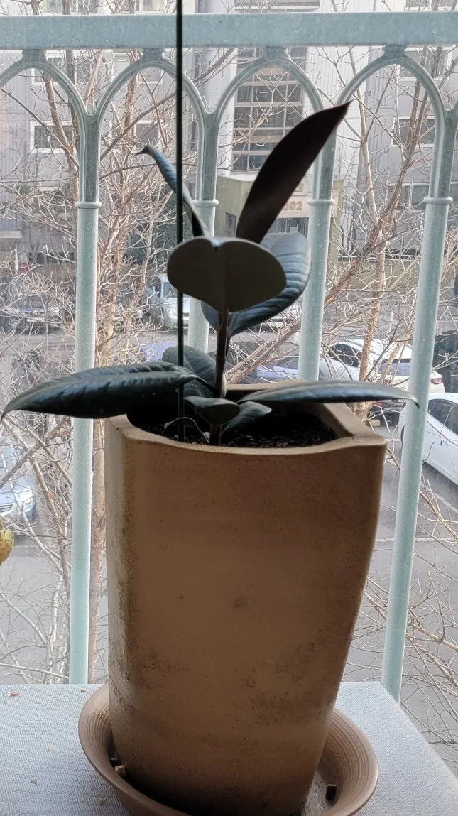 1679802788044.jpg?type=w1