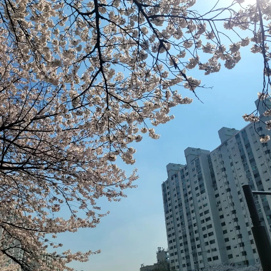 900%EF%BC%BF20260402%EF%BC%BF133056.jpg?type=w1