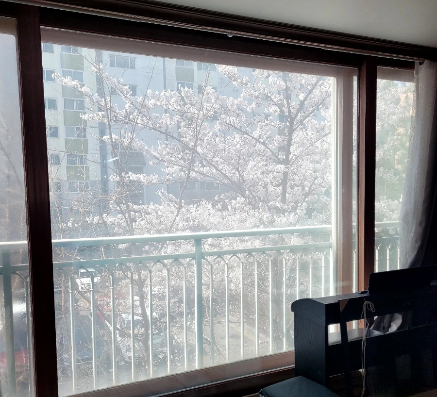 900%EF%BC%BF1775315578932.jpg?type=w1