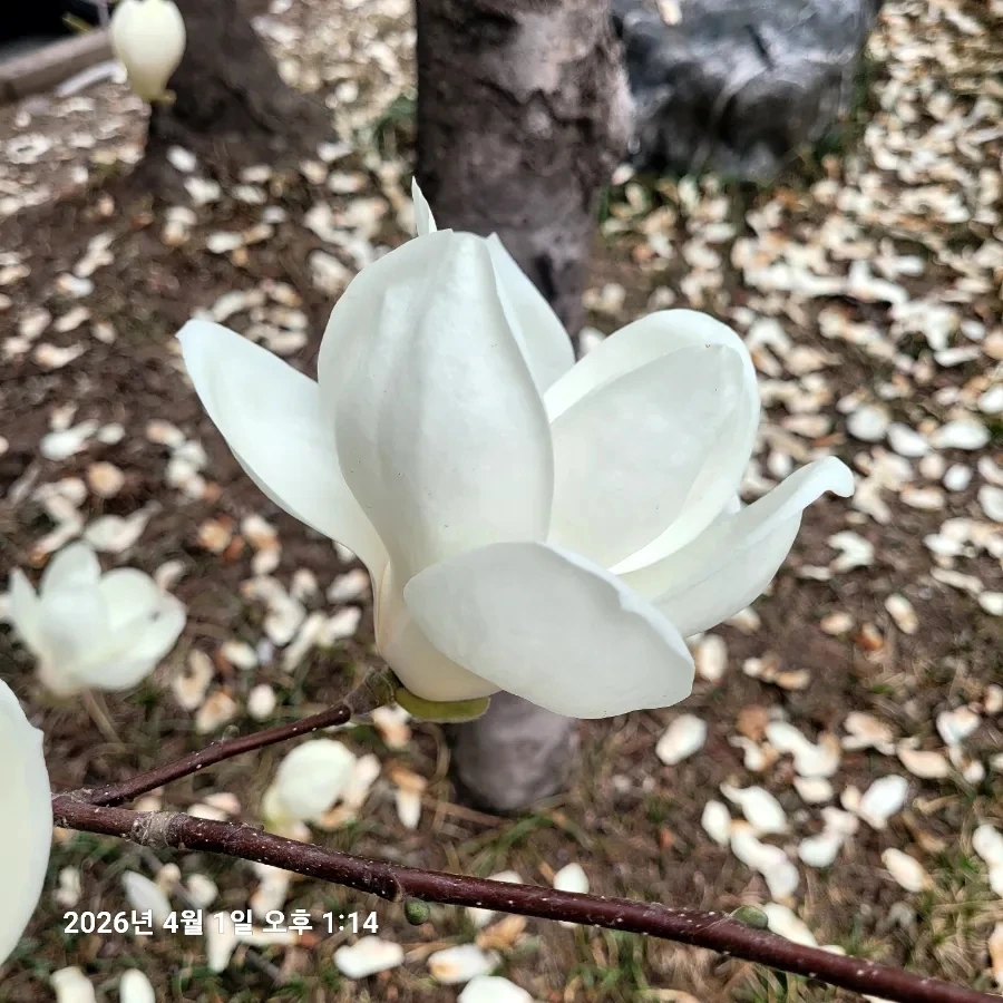 900%EF%BC%BF20260401%EF%BC%BF131438.jpg?type=w1