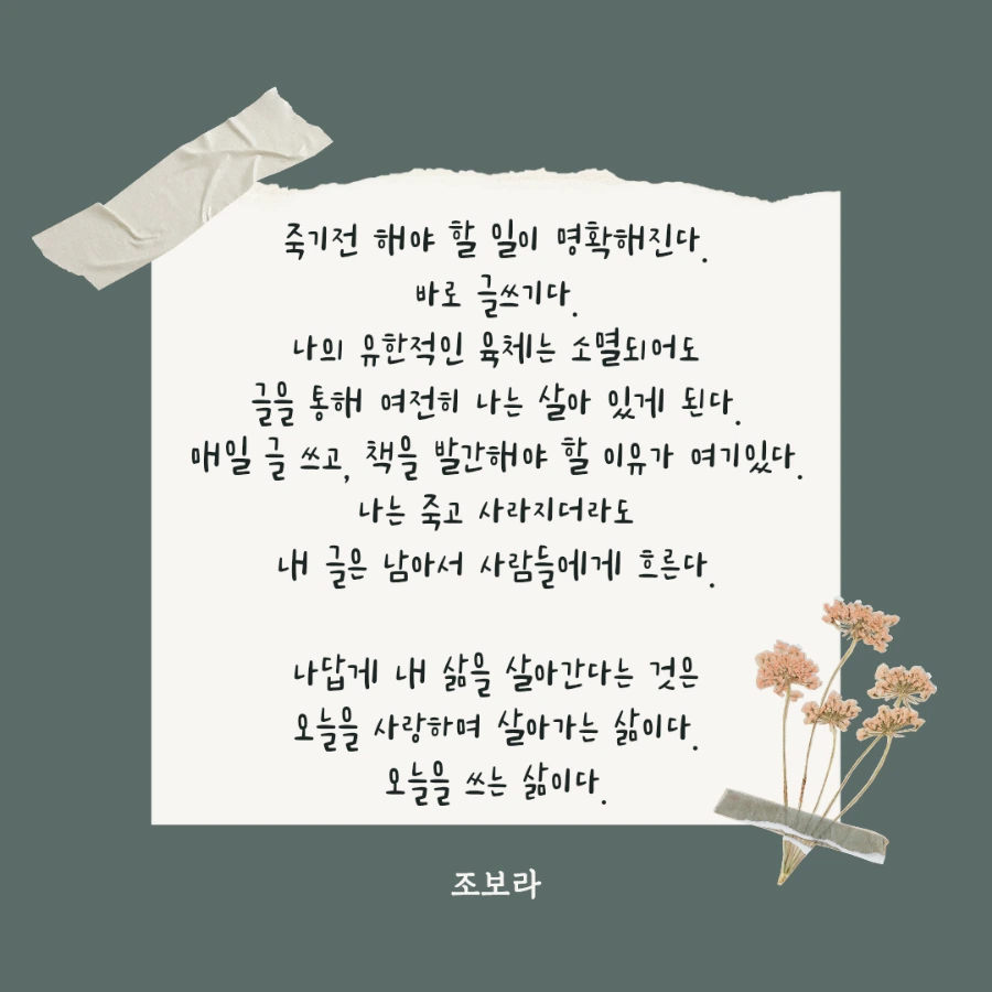 900%EF%BC%BF%EC%B4%88%EB%A1%9D%EC%83%89_%ED%9D%B0%EC%83%89_%EA%B9%94%EB%81%94%ED%95%9C_%EC%A2%85%EC%9D%B4_%EB%A9%94%EC%8B%9C%EC%A7%80_%ED%85%8D%EC%8A%A4%ED%8A%B8_%EC%9D%BC%EB%9F%AC%EC%8A%A4%ED%8A%B8_%EC%9D%B8%EC%8A%A4%ED%83%80%EA%B7%B8%EB%9E%A8_.png?type=w1