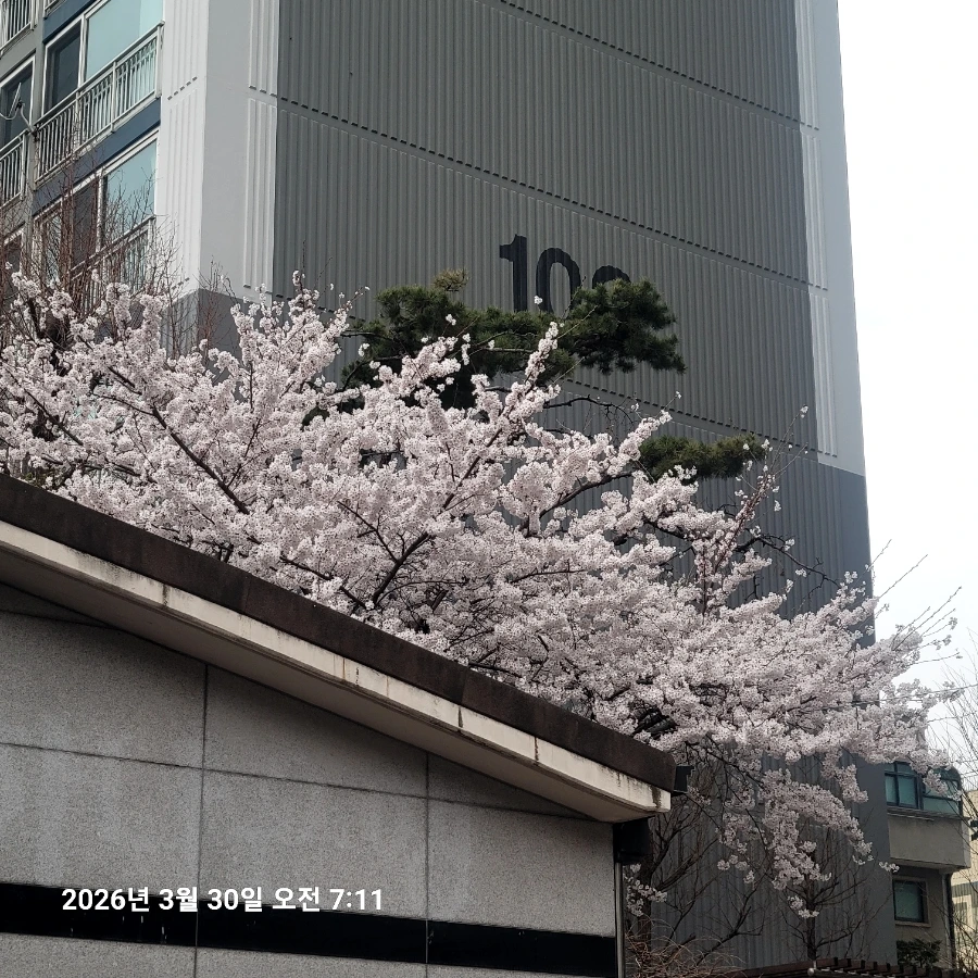 900%EF%BC%BF20260330%EF%BC%BF071110.jpg?type=w1