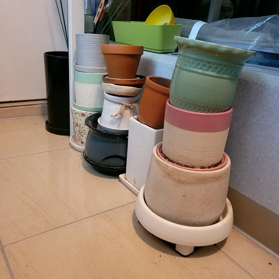 900%EF%BC%BF20260309%EF%BC%BF230923.jpg?type=w1