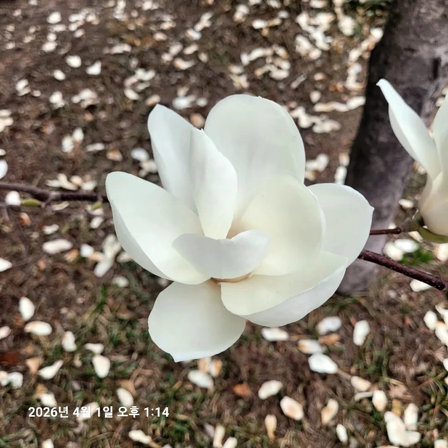 900%EF%BC%BF20260401%EF%BC%BF131434.jpg?type=w1