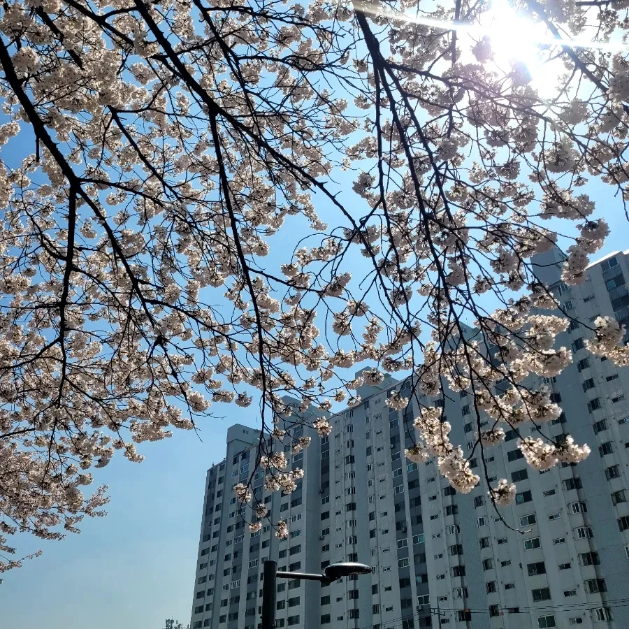 900%EF%BC%BF20260402%EF%BC%BF133052.jpg?type=w1