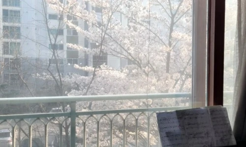 ?src=%22https%3A%2F%2Fblogthumb.pstatic.net%2FMjAyNTA0MTFfMjAg%2FMDAxNzQ0MzgwMDU1MDYx.zXXkI_QAGzyq9W_szPVsUHjREzYFPM4JJUlb6lQBgX8g.LM09C7qHYAVjhjQKN6ha5KY65z5NI7kAmfJE6LsP2I8g.JPEG%2F900%25A3%25DF20250411%25A3%25DF180559.jpg%3Ftype%3Dw2%22&type=ff500_300