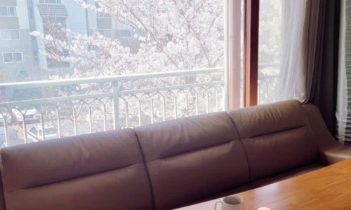 ?src=%22https%3A%2F%2Fblogthumb.pstatic.net%2FMjAyMzA0MDFfMjQ4%2FMDAxNjgwMzA5Nzg4NzY3.lcpwK7nX-xmc3uf0vopOv6dQ0qbLtuErZW7d51AWLy0g.0-MeyjBxvjz699XHlDIQC9t-tPBF9Hd3plsOC2QE8IEg.JPEG.lovejobora%2F1680309787652.jpg%3Ftype%3Dw2%22&type=ff500_300