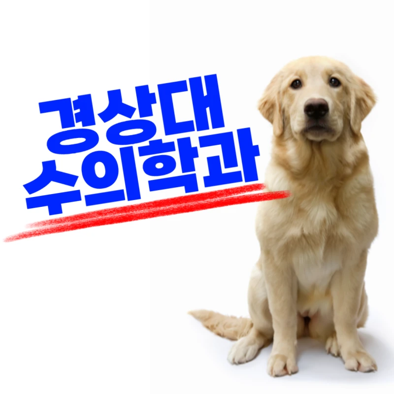 KakaoTalk_20230417_190629721_01.png?type=w800