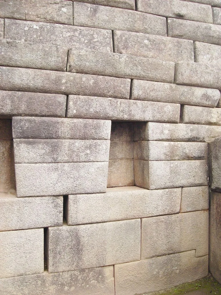 1459054.jpg?type=w773