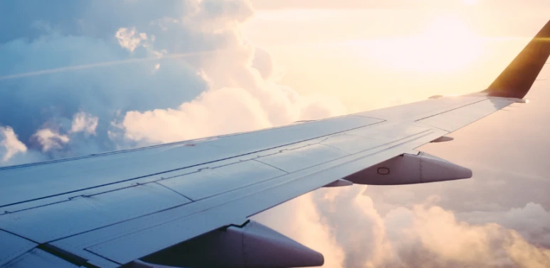 %EC%9D%B4%EB%AF%B8%EC%A7%80_014.png?type=w773