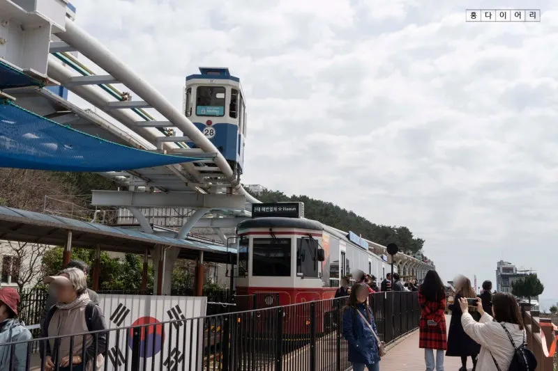 SE-1e37d14d-a5e1-408a-b423-3bbc0c196cb3.jpg?type=w800