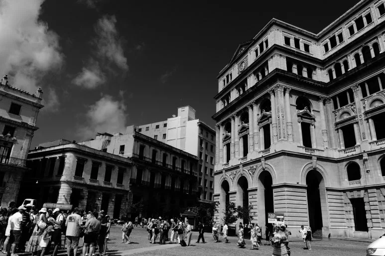 DSC_8780.JPG?type=w773