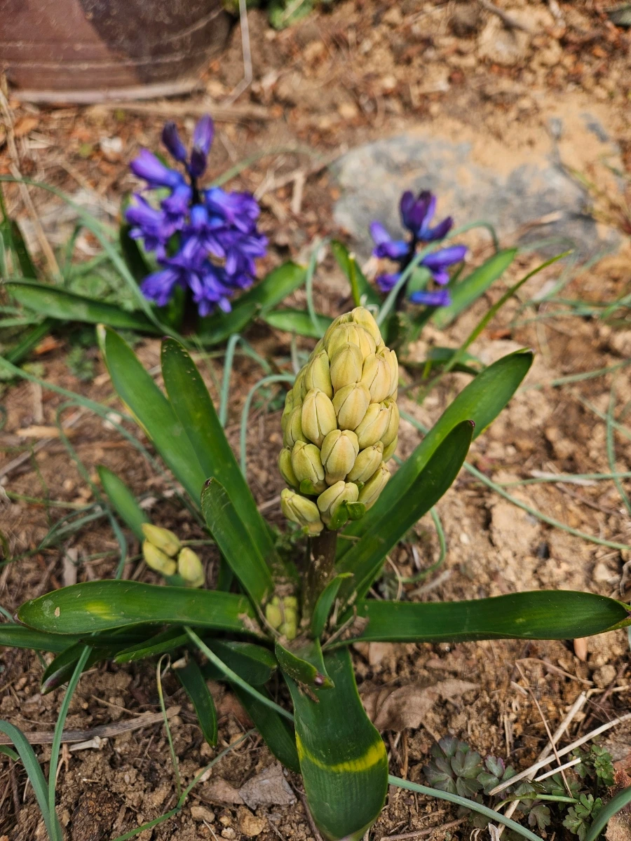 900%EF%BC%BF20260322%EF%BC%BF123546.jpg?type=w1