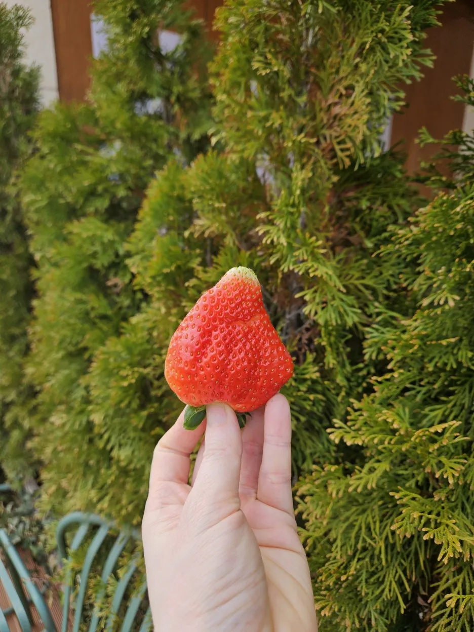 KakaoTalk_20260328_080427978_06.jpg?type=w1