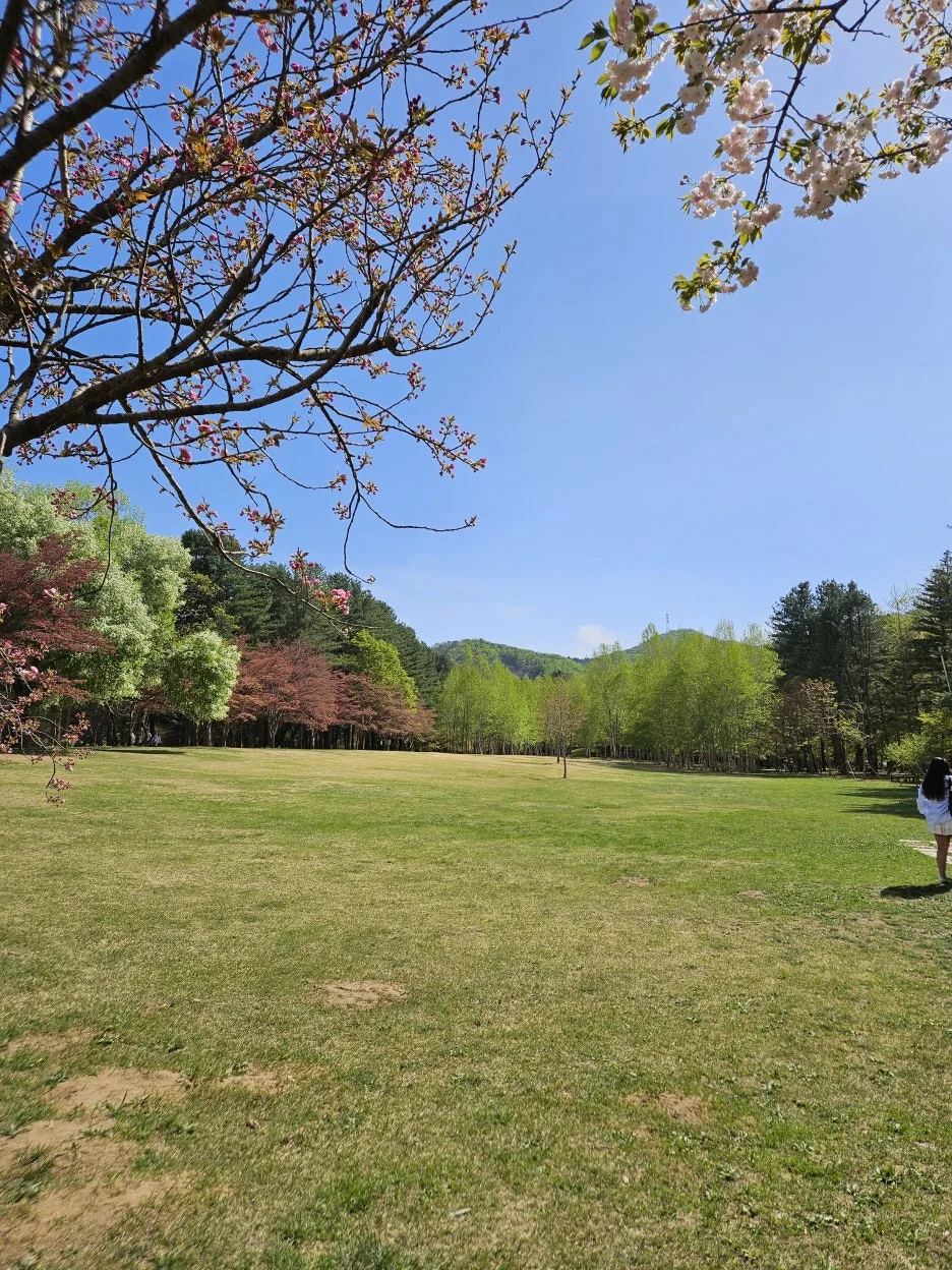 KakaoTalk_20260416_222400600_07.jpg?type=w1