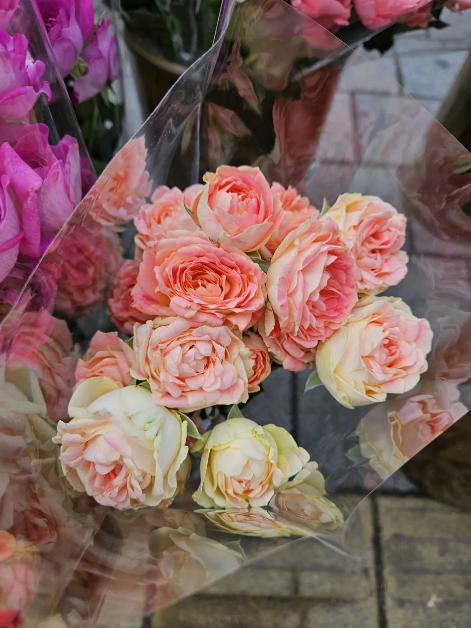 KakaoTalk_20260404_171915318_11_(1).jpg?type=w1