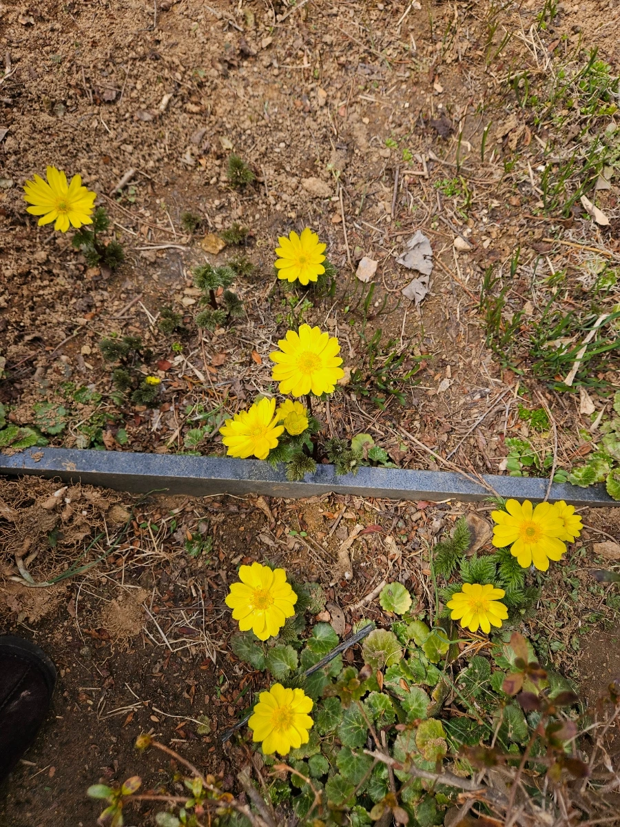 900%EF%BC%BF20260322%EF%BC%BF123638.jpg?type=w1