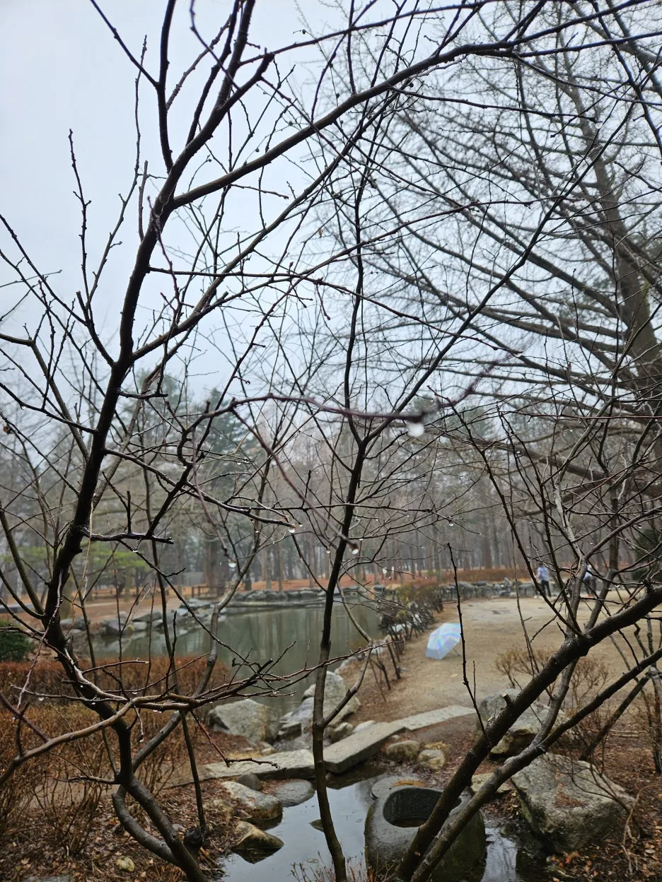 KakaoTalk_20260318_232711621_11.jpg?type=w1