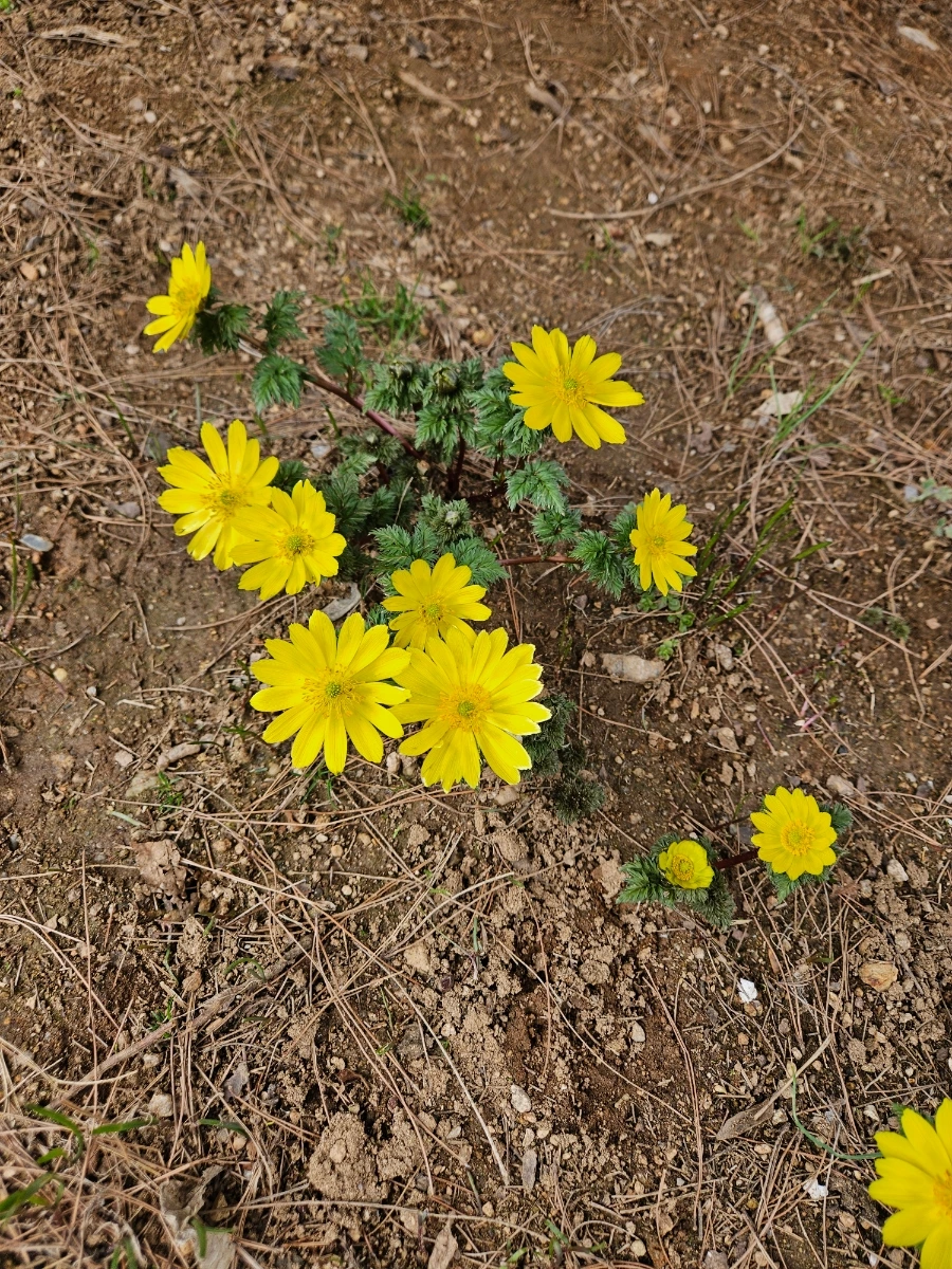 900%EF%BC%BF20260322%EF%BC%BF123648.jpg?type=w1