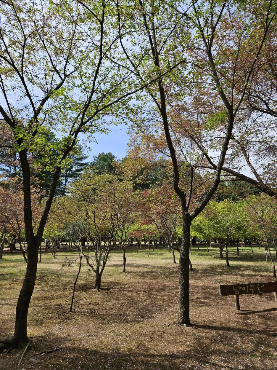 KakaoTalk_20260416_222400600_22.jpg?type=w1