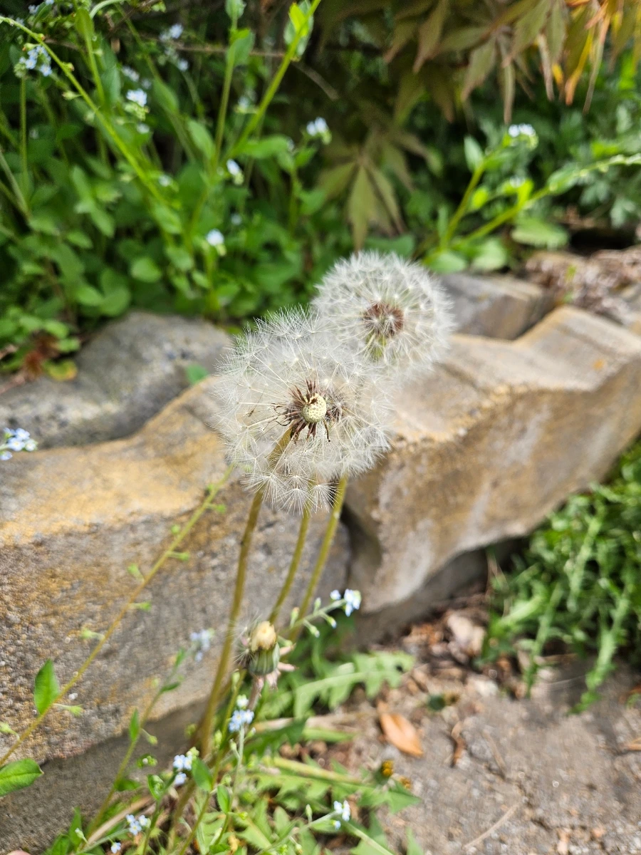 900_20260419_134143.jpg?type=w1