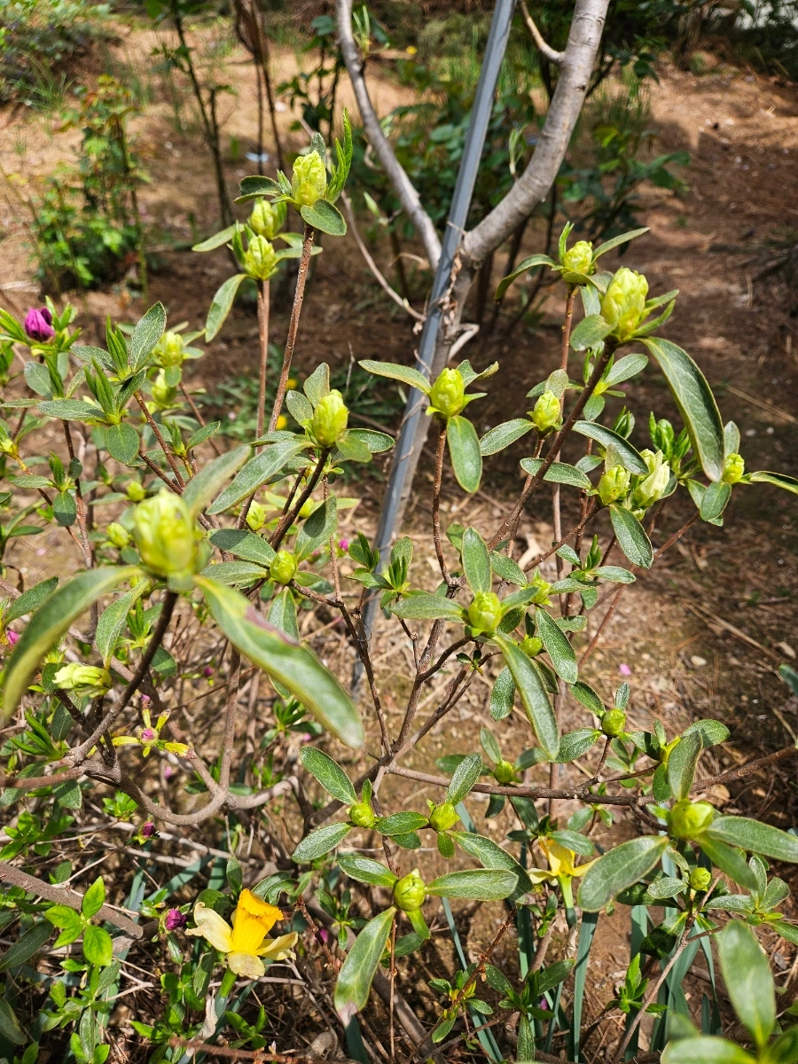 900_20260419_123542.jpg?type=w1