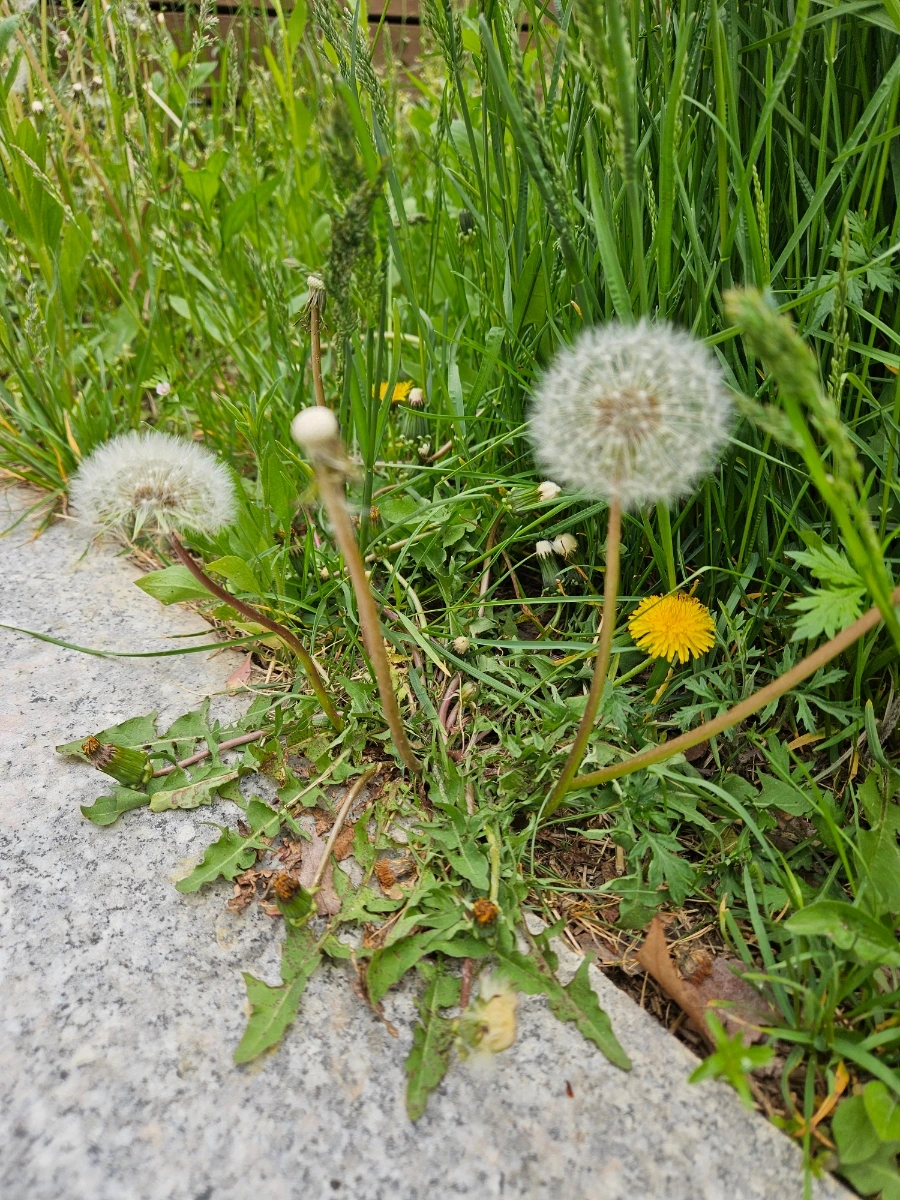 900_20260422_123124.jpg?type=w1