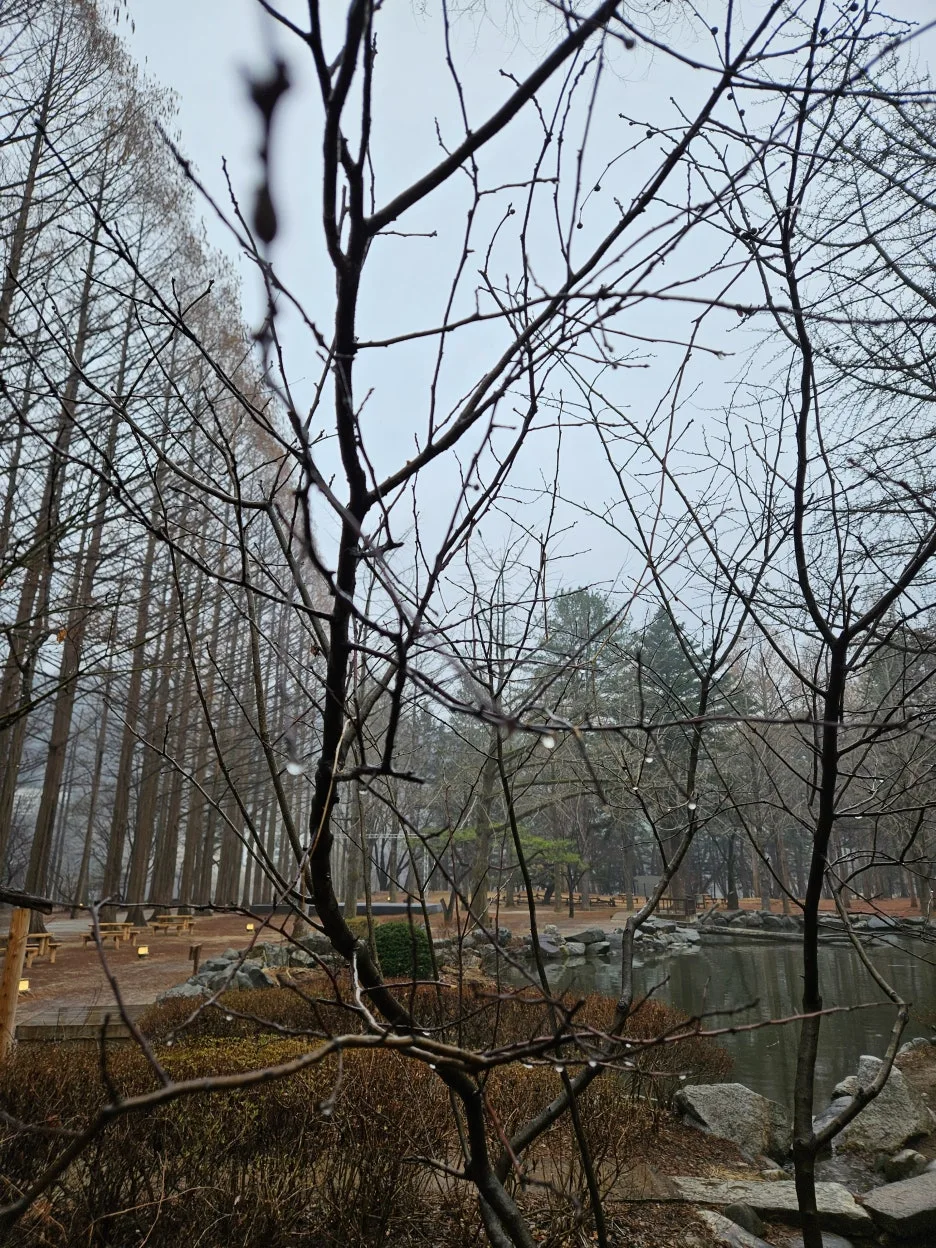 KakaoTalk_20260318_232711621_10.jpg?type=w1