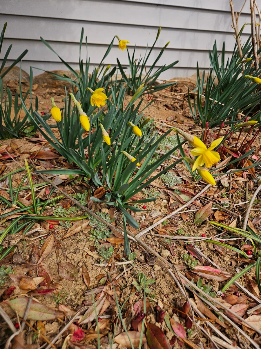 900%EF%BC%BF20260322%EF%BC%BF123707.jpg?type=w1