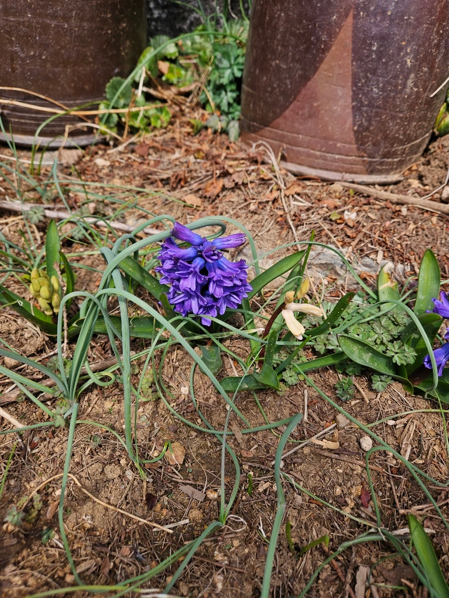 900%EF%BC%BF20260322%EF%BC%BF123554.jpg?type=w1