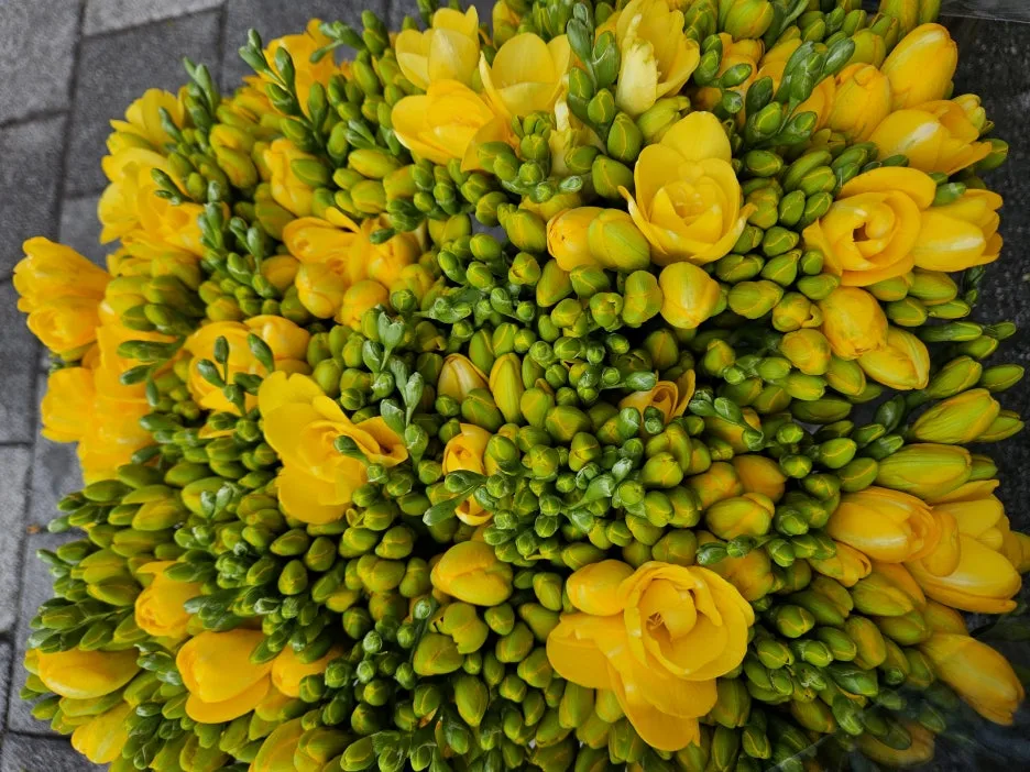 KakaoTalk_20260404_171915318_03.jpg?type=w1