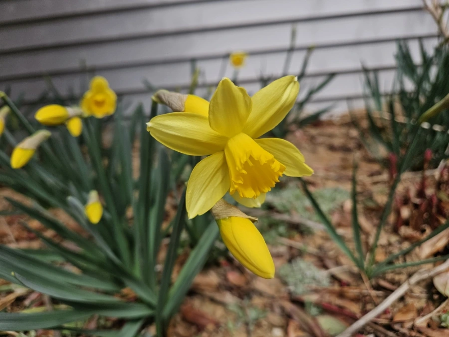 900%EF%BC%BF20260322%EF%BC%BF123721.jpg?type=w1