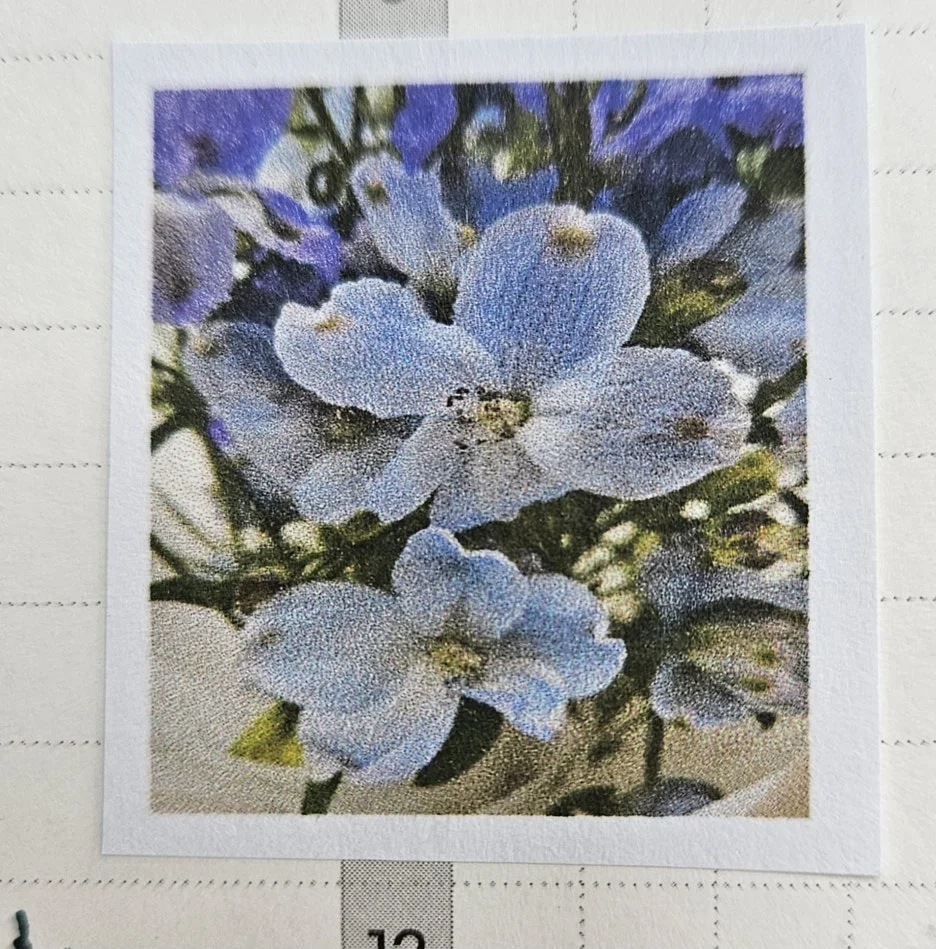 KakaoTalk_20260122_101253878.jpg?type=w1