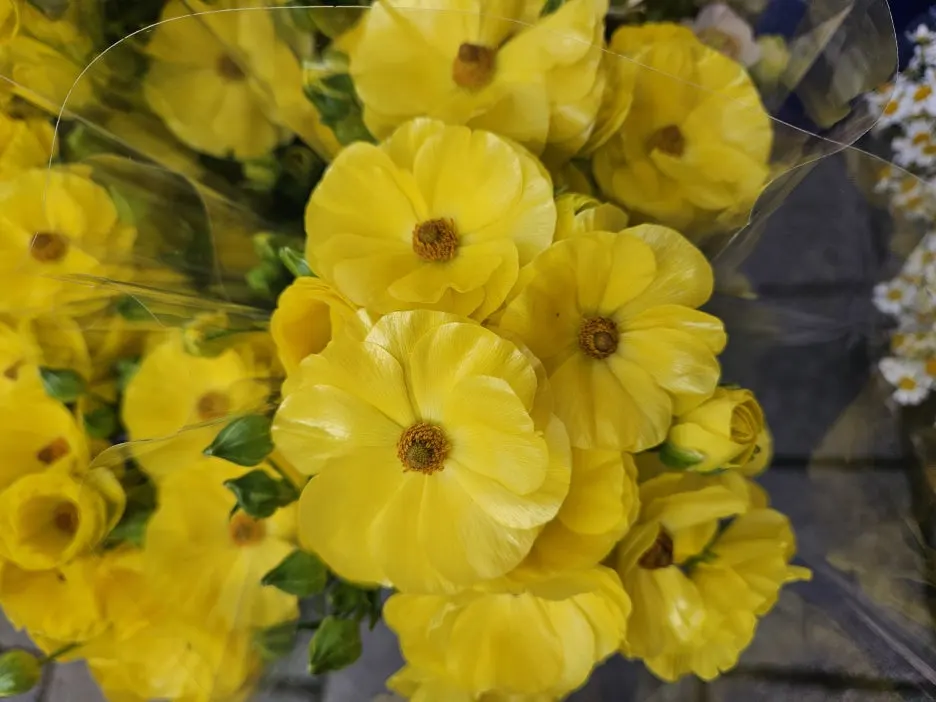 KakaoTalk_20260404_171915318_09.jpg?type=w1