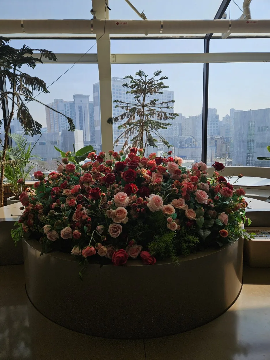 KakaoTalk_20260324_235500403_20.jpg?type=w1