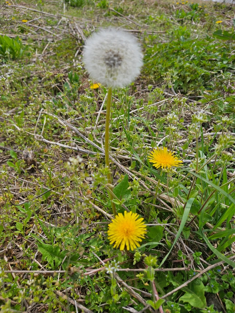 900_20260419_134656.jpg?type=w1