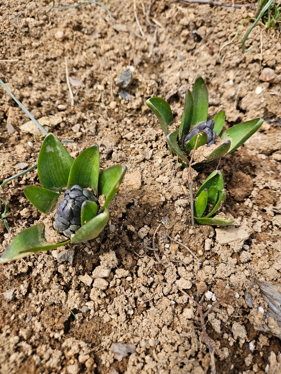 900%EF%BC%BF20260322%EF%BC%BF123533.jpg?type=w1