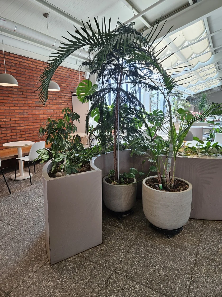 KakaoTalk_20260324_235500403_19.jpg?type=w1