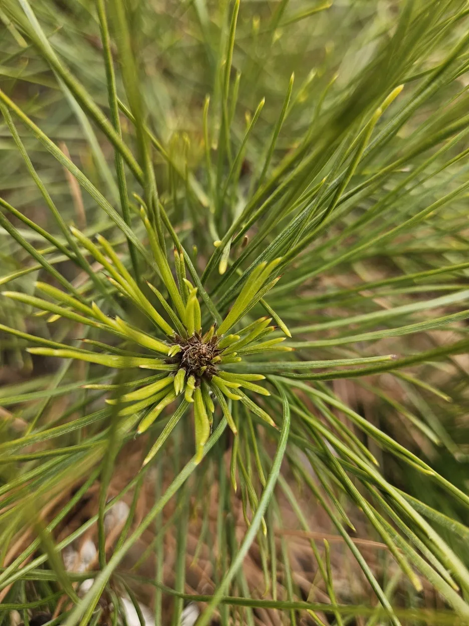 KakaoTalk_20260301_220522613_04.jpg?type=w1