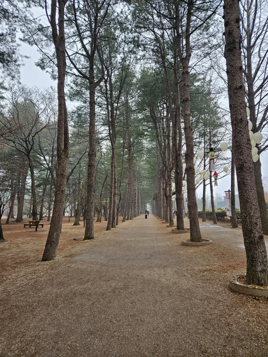 KakaoTalk_20260318_232711621_16.jpg?type=w1