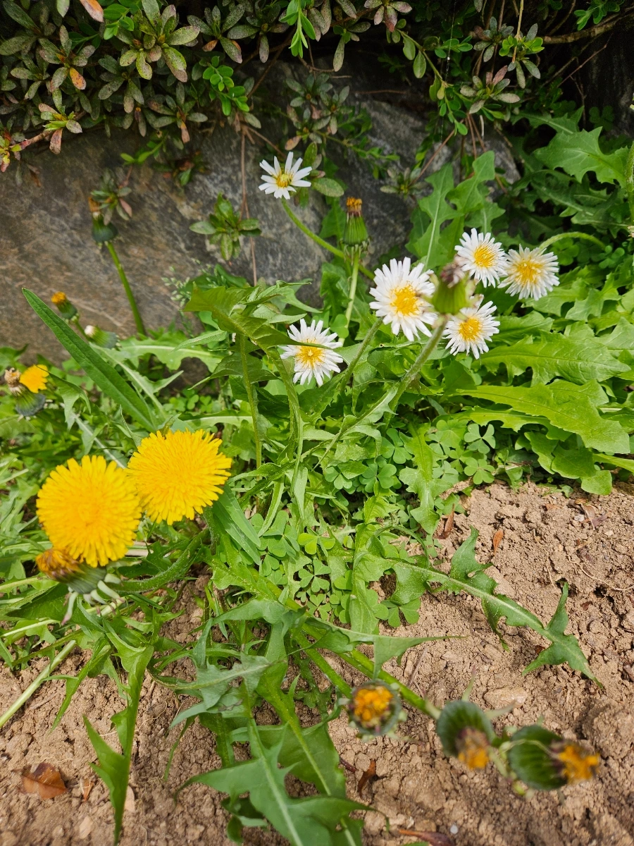 900_20260419_134224.jpg?type=w1