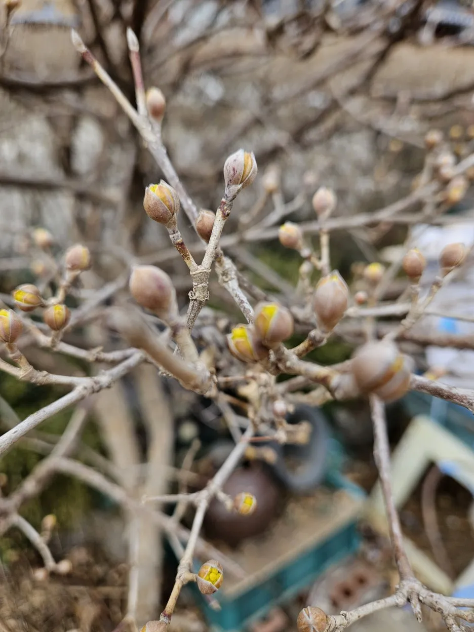 KakaoTalk_20260301_220522613_03.jpg?type=w1