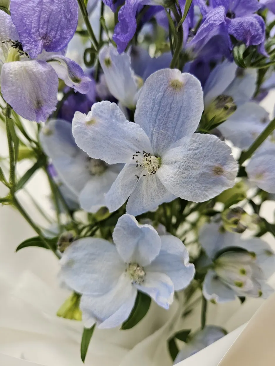 KakaoTalk_20260122_101253878_05.jpg?type=w1