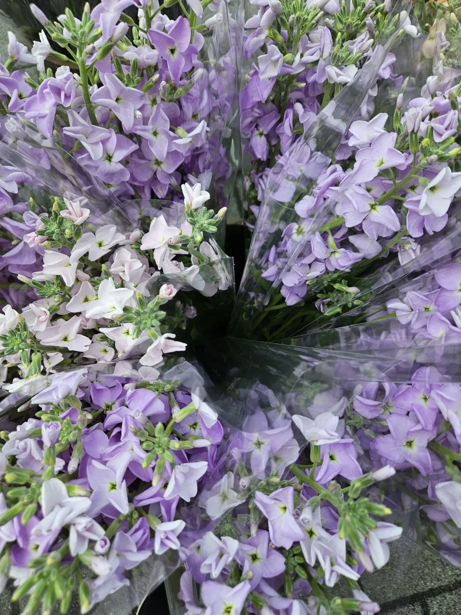 KakaoTalk_20260404_171915318_20_(1).jpg?type=w1