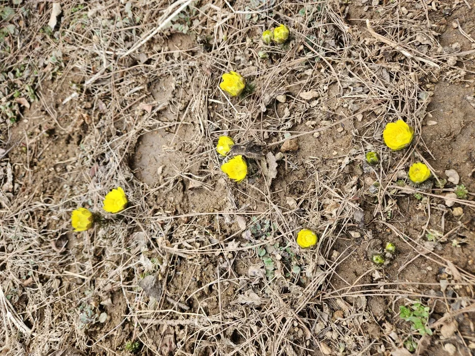 KakaoTalk_20260301_220522613_05.jpg?type=w1