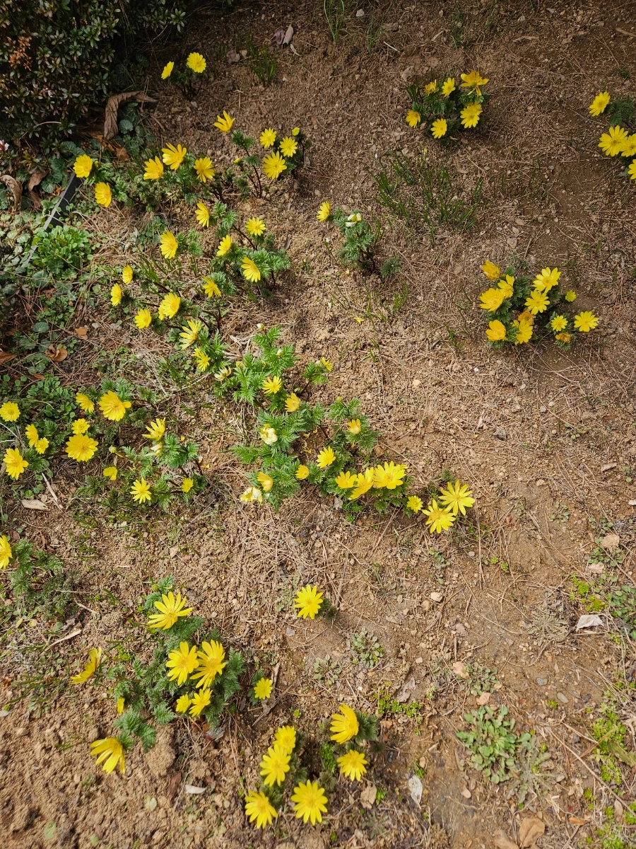 900%EF%BC%BF20260322%EF%BC%BF123628.jpg?type=w1